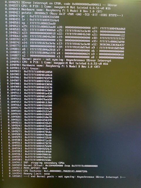 AsyncSerrorInterrupt.jpg